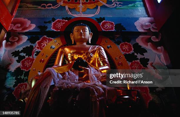the 3 metre high gold statue of buddha in the prayer room at rumtek monastery. rumtek monastery follows the karma kagyu order of tibetan buddhism. - sikkim stock-fotos und bilder