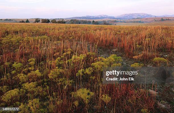 prairie landscape, wichita mountains wildlife refuge. - v oklahoma stockfoto's en -beelden