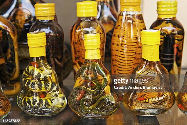 bottles of snakes and scorpions in alcohol, health tonic for virility. - afrodisíaco fotografías e imágenes de stock