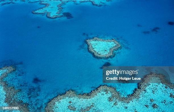 aerial of heart-shaped reef at hardy reef near whitsunday islands. - great barrier reef aerial ストックフォトと画像