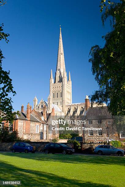 cathedral spire towering above houses in cathedral close with lawn in foreground. - norwich cathedral stock pictures, royalty-free photos & images