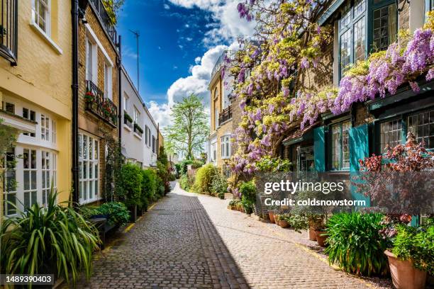 casa de mews coberta de glicínia na rua residencial de paralelepípedos de londres - trepadeira - fotografias e filmes do acervo