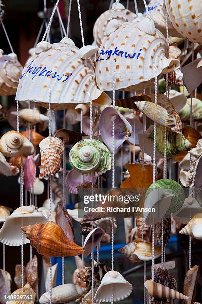 shell souvenirs displayed outside shop in oriental village shopping centre, pantai kok. - pantai kok stock pictures, royalty-free photos & images