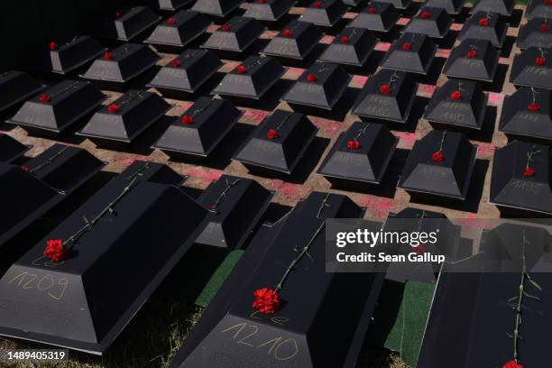 Carnations lie on 56 small coffins containing the remains of World War II Soviet soldiers during a reburial ceremony at a mass grave at the Soviet...