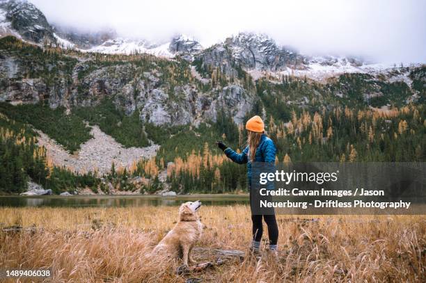 female hiker and her dog in the north cascade mountains - nördliches kaskadengebirge stock-fotos und bilder