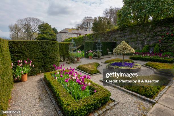 plas cadnant hidden gardens, menai bridge, anglesey, north wales - plas cadnant hidden gardens stock pictures, royalty-free photos & images