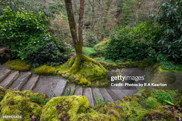 plas cadnant hidden gardens, menai bridge, anglesey, north wales - plas cadnant hidden gardens stock pictures, royalty-free photos & images