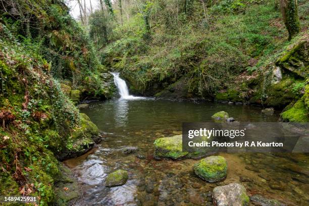 plas cadnant hidden gardens, menai bridge, anglesey, north wales - plas cadnant hidden gardens stock pictures, royalty-free photos & images