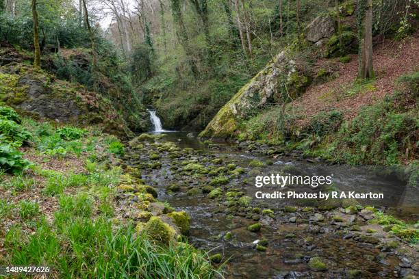 plas cadnant hidden gardens, menai bridge, anglesey, north wales - plas cadnant hidden gardens stock pictures, royalty-free photos & images