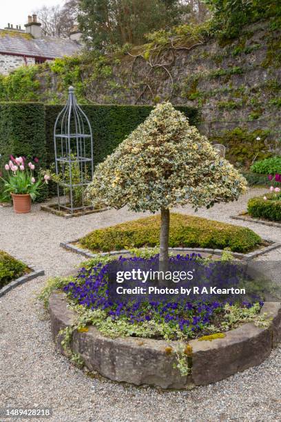 plas cadnant hidden gardens, menai bridge, anglesey, north wales - plas cadnant hidden gardens stock pictures, royalty-free photos & images