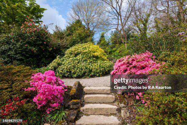 plas cadnant hidden gardens, menai bridge, anglesey, north wales - plas cadnant hidden gardens stock pictures, royalty-free photos & images