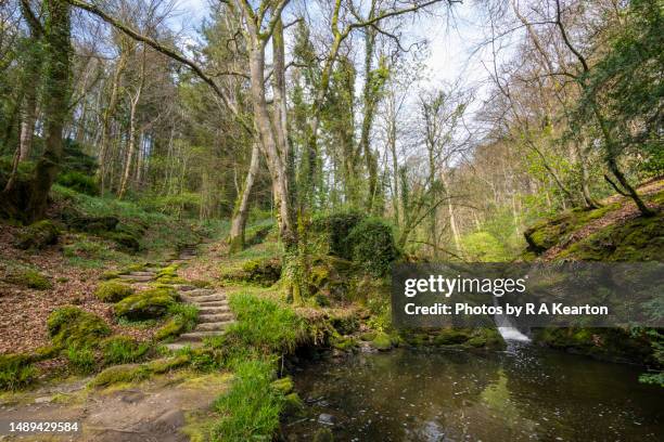 plas cadnant hidden gardens, menai bridge, anglesey, north wales - plas cadnant hidden gardens stock pictures, royalty-free photos & images