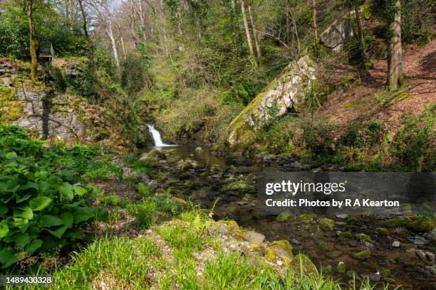 plas cadnant hidden gardens, menai bridge, anglesey, north wales - plas cadnant hidden gardens stock pictures, royalty-free photos & images