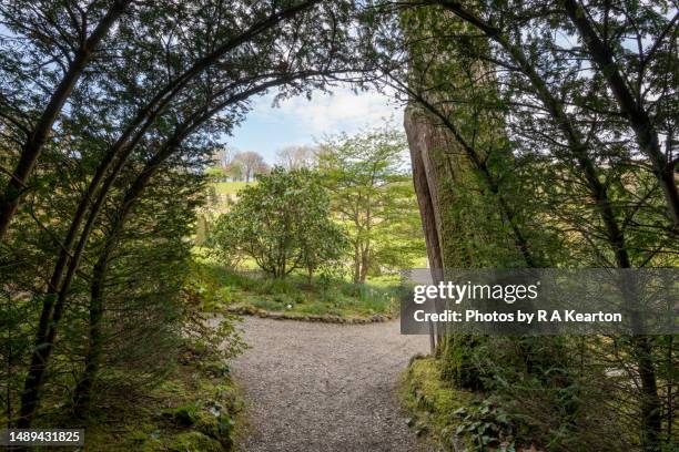 plas cadnant hidden gardens, menai bridge, anglesey, north wales - plas cadnant hidden gardens stock pictures, royalty-free photos & images