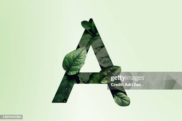 letter a made of leaves on a green background - pics of the letter a stock pictures, royalty-free photos & images