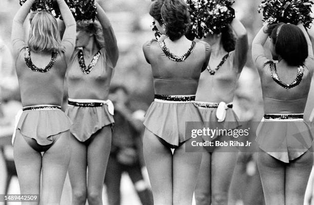 Cheerleaders at Super Bowl XIX of Miami Dolphins vs. San Francisco 49ers, January 20, 1985 in Stanford, California.