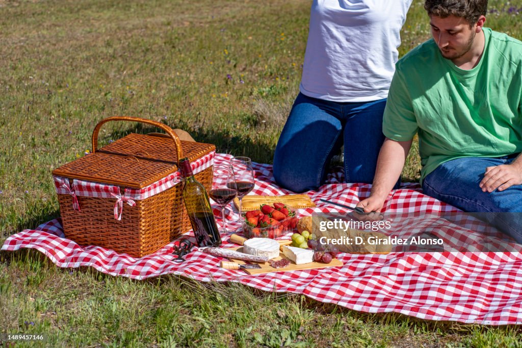 Couple having romantic picnic in park