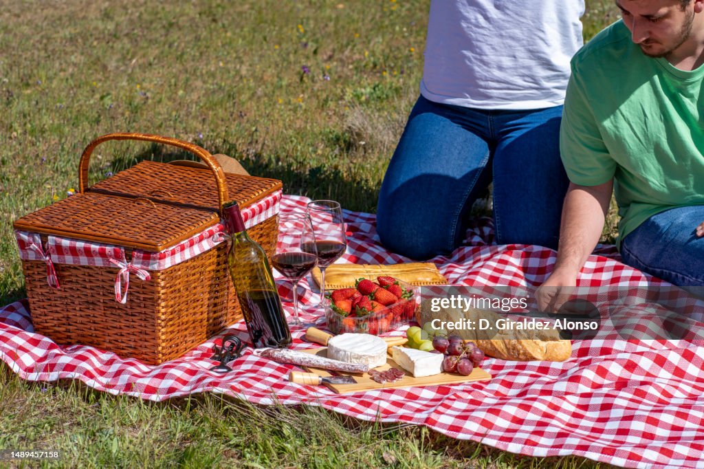 Young couple having romantic picnic in park