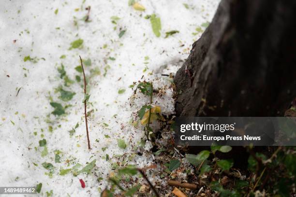 Cork with hail, on 12 May, 2023 in Barcelona, Catalonia, Spain. Almost all the regions of Catalonia will be pending today of a new batch of showers...