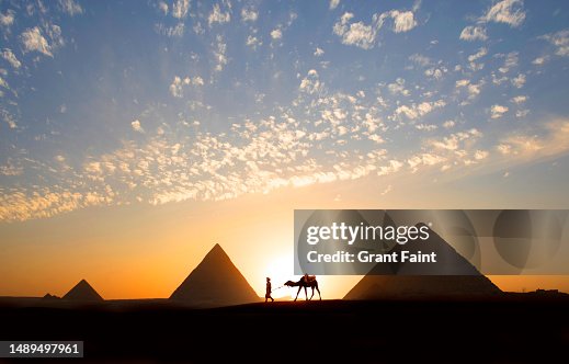 camel near pyramid