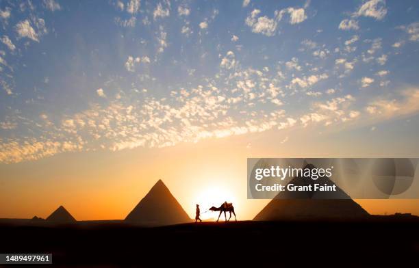 camel near pyramid - cairo - fotografias e filmes do acervo