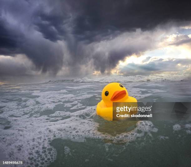yellow rubber ducky floating in a rough sea - rubber duck stock pictures, royalty-free photos & images
