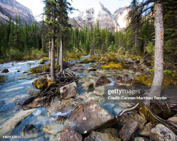 moraine lake, banff. canada - sports 2016 stock pictures, royalty-free photos & images