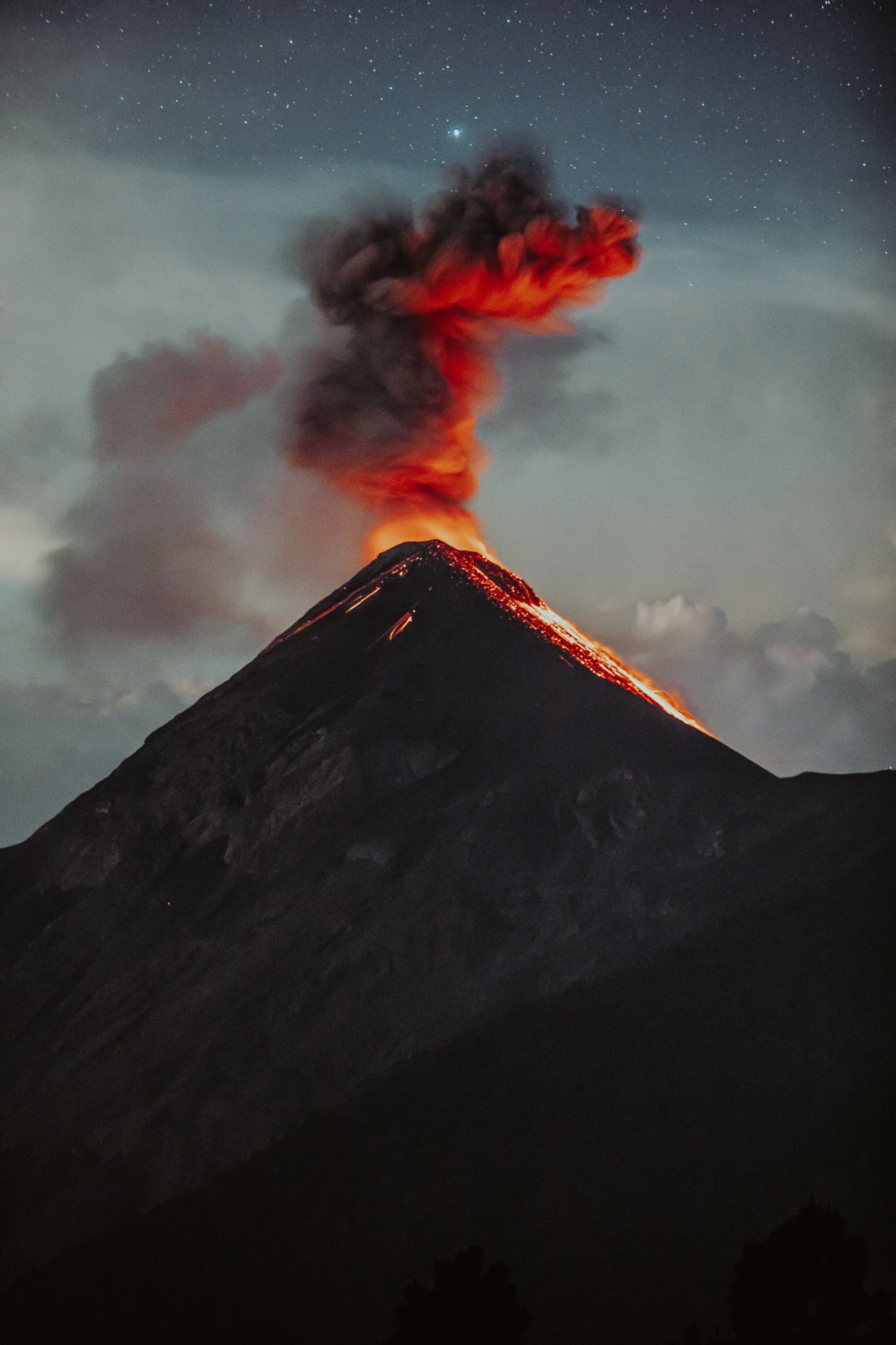 erupção cutânea