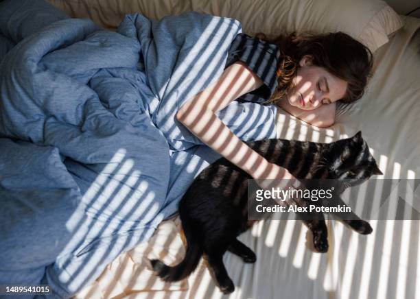 striped shadows and lights in bedroom, bedtime relax: sleepy young woman hugging black cat in bed in sunbeams. stripes of sunlight and shadow from the window cover bed and cat with owner. top view - black hairy women bildbanksfoton och bilder