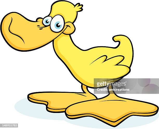 yellow duck with big feet - drake stock illustrations