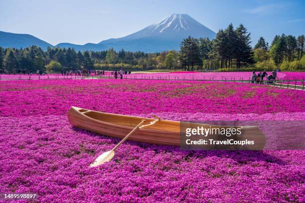 mount fuji and pink moss or shiba sakura field at honshu island,yamanashi,japan. shibasakura and yellow boat. - brandloch stock pictures, royalty-free photos & images