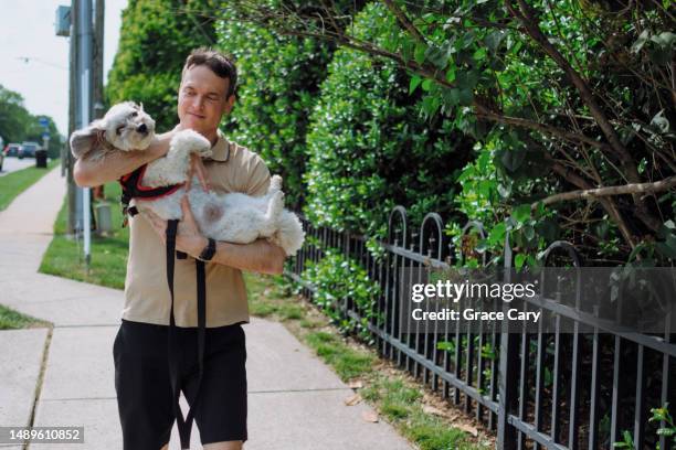 man carries his tired dog at end of walk - hund klein stock-fotos und bilder