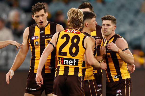 Luke Breust of the Hawks celebrates a goal during the round nine AFL match between Hawthorn Hawks and Melbourne Demons at Melbourne Cricket Ground,...