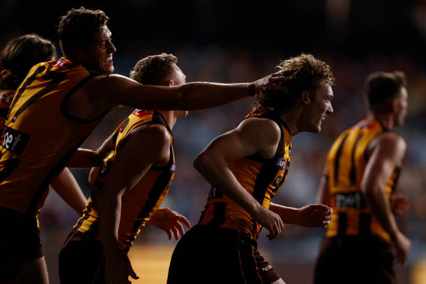 Josh Weddle of the Hawks celebrates a goal during the round nine AFL match between Hawthorn Hawks and Melbourne Demons at Melbourne Cricket Ground,...