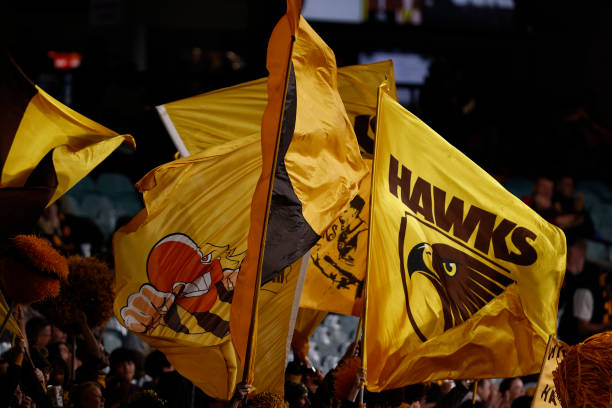 Hawthorn fans cheer during the round nine AFL match between Hawthorn Hawks and Melbourne Demons at Melbourne Cricket Ground, on May 13 in Melbourne,...