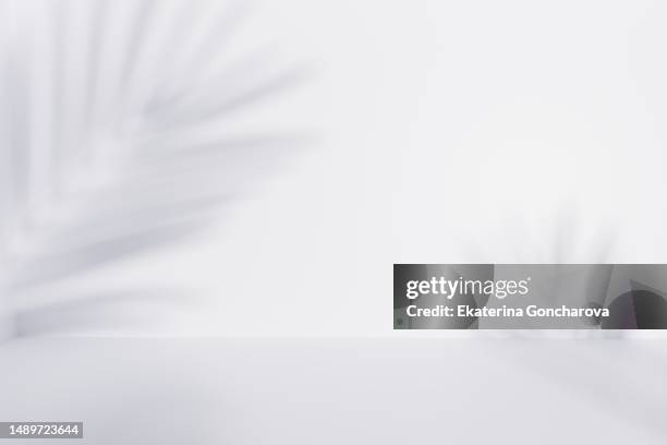 a blurred shadow of palm leaves on a white wall background. - palm tree on white stock pictures, royalty-free photos & images