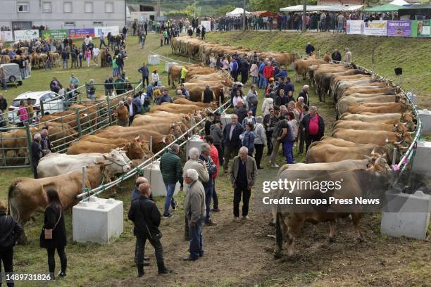 General view of the third edition of the Feira em Defesa do Gandeiro da Montaña, on 13 May, 2023 in Cervantes, Lugo, Galicia, Spain. This year's...