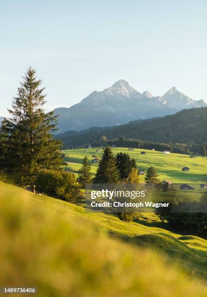 gebirgslandschaft - alpes do allgäu imagens e fotografias de stock