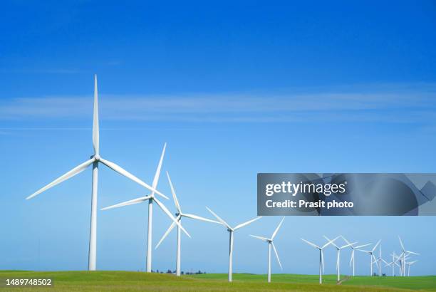 wind turbines and vivid colors of green wheat field in the spring on a blue sky, late afternoon. concept for green energy and a sustainable future in california, usa - energia eolica foto e immagini stock