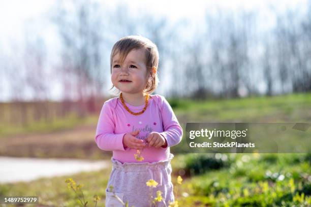 the baby in the meadow - eenjarig plantenkenmerk stockfoto's en -beelden