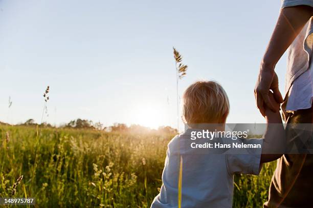 mother and son holding hands in field - family unity stock pictures, royalty-free photos & images