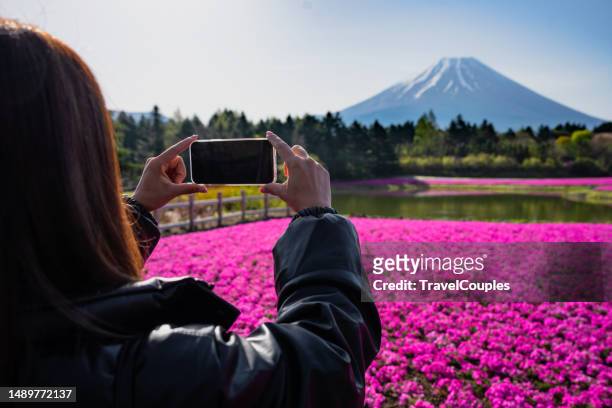 young asian woman holding smartphone in hands and taking photo mount fuji and pink moss or shiba sakura field at honshu island,yamanashi,japan. - nationaal park fuji hakone izu stockfoto's en -beelden