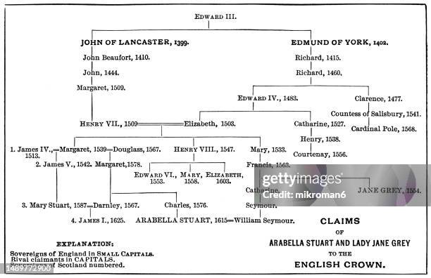 old engraved diagram of family tree, succession in edwards iii - claims of arabella stuart and lady jane grey to the english crown - lady grey background bildbanksfoton och bilder