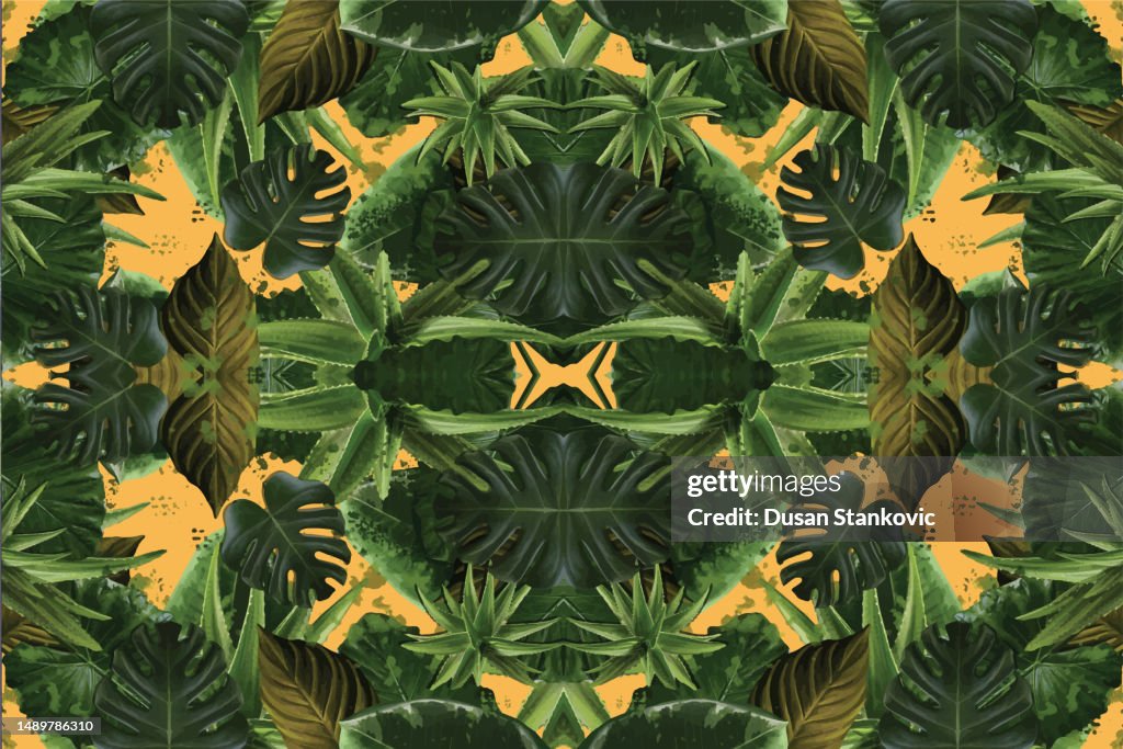 Monstera Deliciosa and Aloe pattern