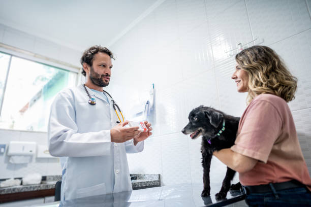 veterinarian giving medicine to a mature woman for her dog in an animal clinic - a woman giving a dog drugs stock pictures, royalty-free photos & images