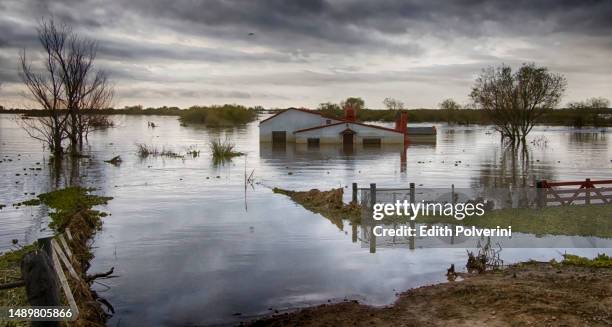 flood - översvämmad bildbanksfoton och bilder