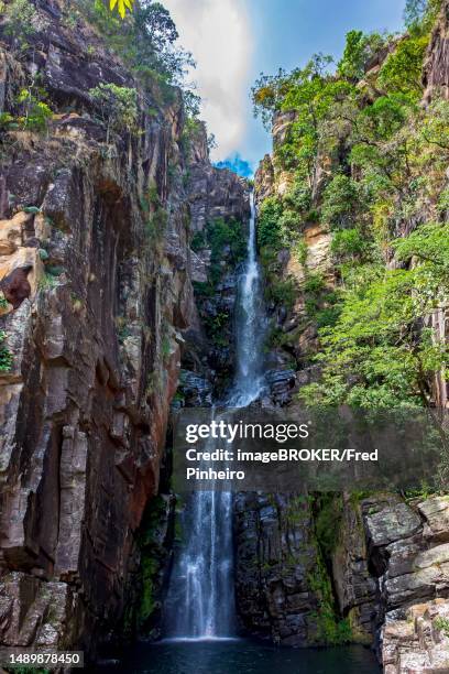 stunning waterfall called veu da noiva between moss covered rocks and the vegetation of an area with nature preserved in the state of minas gerais, brazil, brasil - noiva stock-fotos und bilder