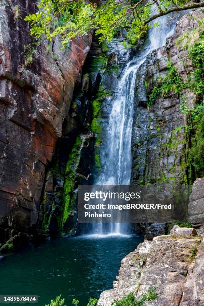 waters of waterfall called veu da noiva between moss covered rocks and the vegetation of an area with nature preserved in the state of minas gerais, brazil, brasil - noiva bildbanksfoton och bilder