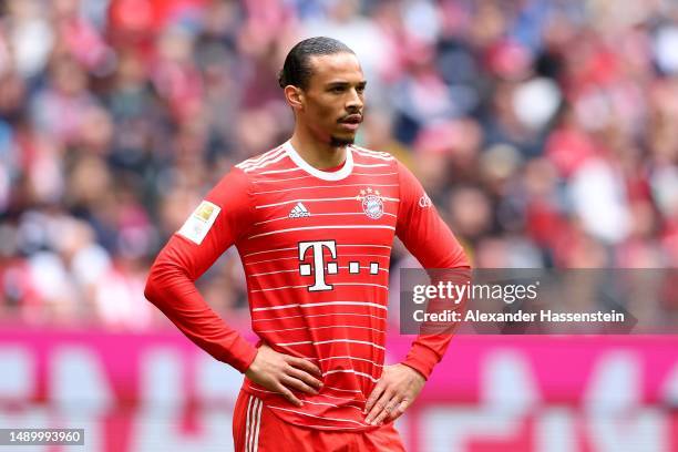 Leroy Sane of FC Bayern München looks on during the Bundesliga match between FC Bayern München and FC Schalke 04 at Allianz Arena on May 13, 2023 in...