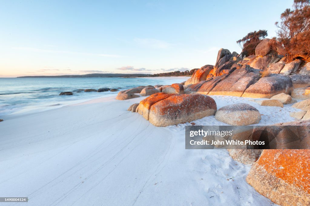 Red lichen covered rocks on the beach. Bay of Fires. Tasmania. Australia.